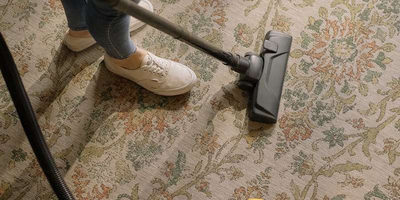 benefits of professional carpet cleaning