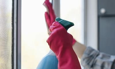 Window Cleaning Service in Delta