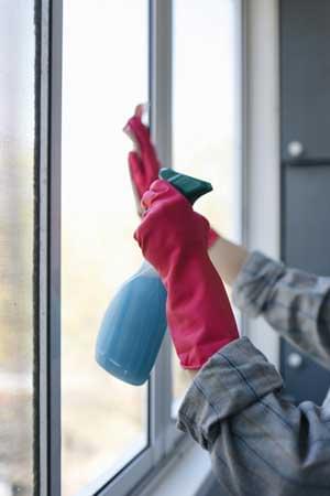 Window Cleaning Services Lower Mainland